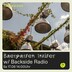 Baergarten Berlin Baergarten Invites: Backside Radio