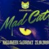 Cheshire Cat  „The Mad Cat“ Halloween Party