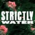Watergate Berlin strictly strictly: Adam Pits & Lisene, In2stellar, Maruwa, Younger Than Me
