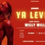 Bricks Berlin Bricks XY Ya Levis