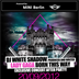 Felix Berlin DJ WHITE SHADOW -Exclusive 'Lady Gaga Born This Way' After Concert Party