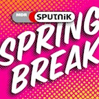 Pouch  Sputnik Spring Break 2016
