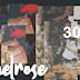 808 Berlin 808 - Melrose