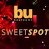 Beate Uwe Berlin Sweet Spot w/ Denise Bauer, Bonjour Ben, Diana Rada
