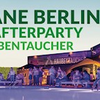 Haubentaucher Berlin Elektro Pool Party