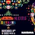 Havanna  Día de los Muertos | Halloween on 4 floors