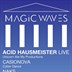 Loftus Hall Berlin Magic Waves