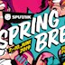 Pouch  Sputnik Spring Break