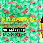 Maxxim Berlin Let's Flamingle | Maxxim