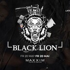 Maxxim Berlin Black Friday – Black Lion Edition
