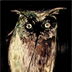 Club der Visionaere Berlin Night Owl