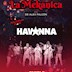 Havanna Berlin La Mekanica de Alex Falcón Live