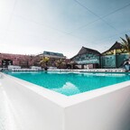 Haubentaucher Berlin Diarios de verano - Fiesta en la piscina