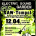 Raw Berlin Electric Sound Garden *The Electric Spring*
