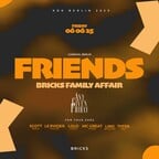 Bricks Berlin KDK Friends x AnyGiven